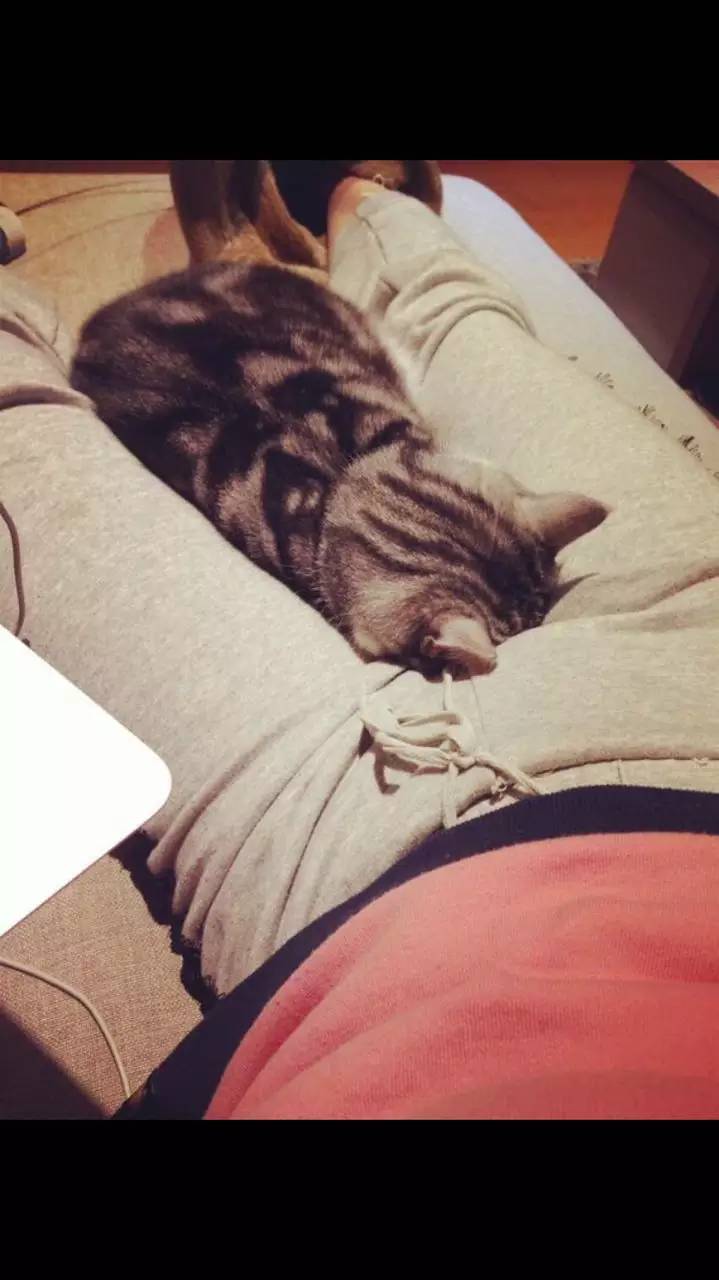 如小果专访：菲比和她家的肉丝！