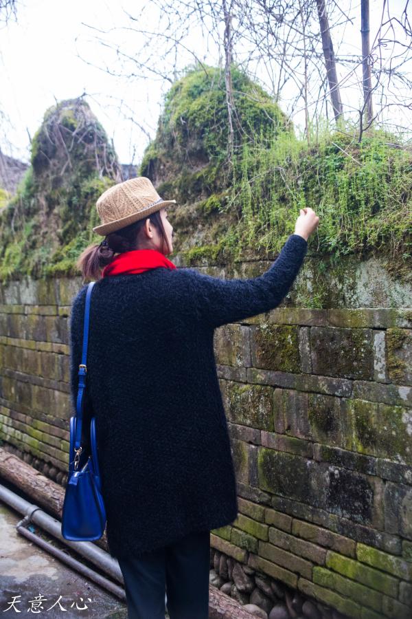 漫游武夷山之自驾游,漫游武夷记