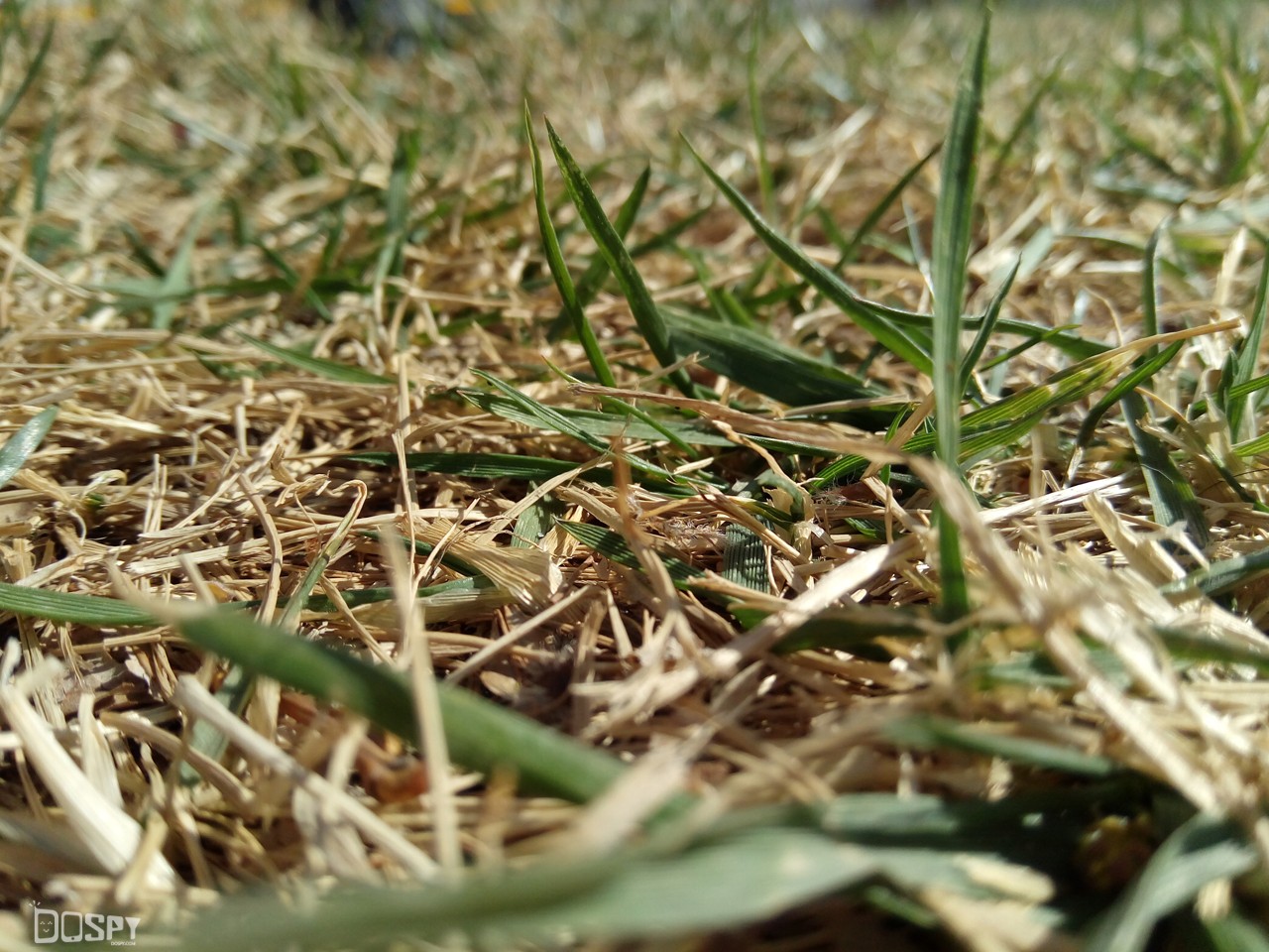 360手机f4,360手机f4全网通版评测