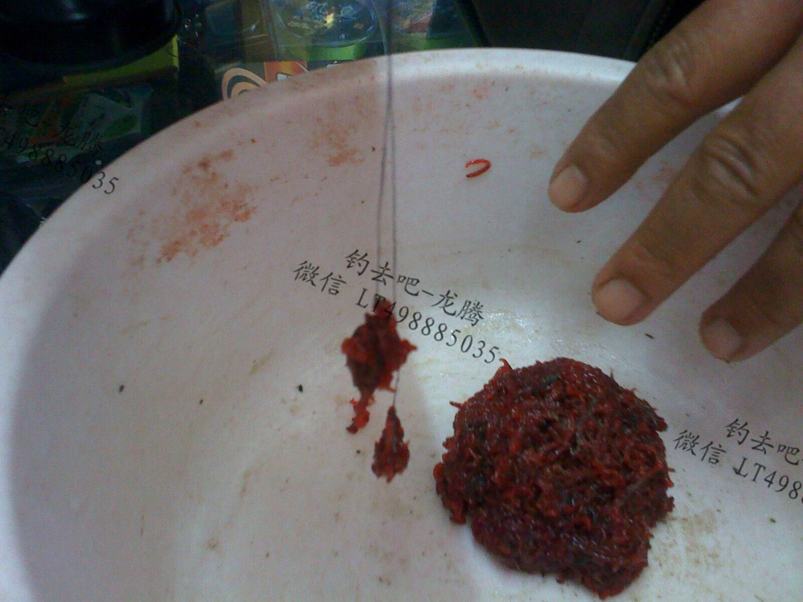 红虫冬天直接放在水里保存可以吗,海红虫怎么保存要用淡水还是海水