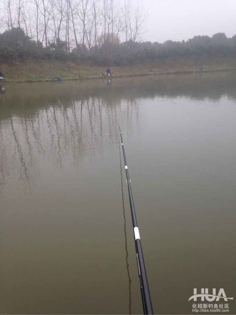 揭秘龙背后的故事,为什么那么多龙纹鲤