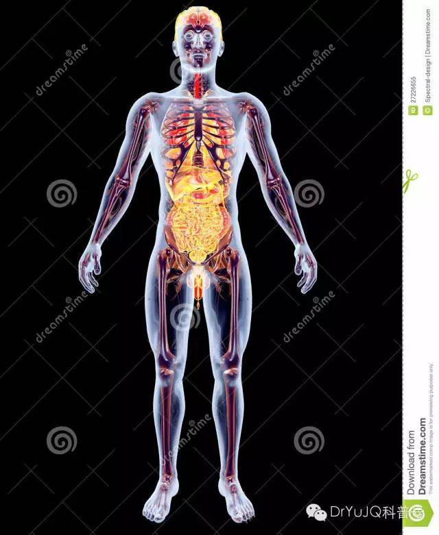 风湿免疫疾病吃中药有用吗,什么是风湿