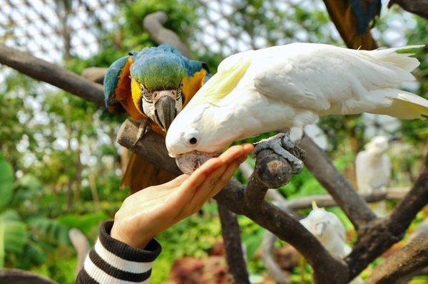 太湖舒畅之旅：乐享田园生活