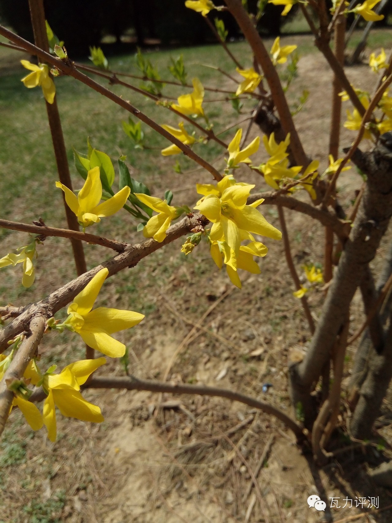 360f4高配版手机怎么样,360f4手机最新评论