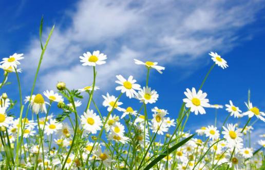 男生祛痘有效方法,祛痘最有效的方法