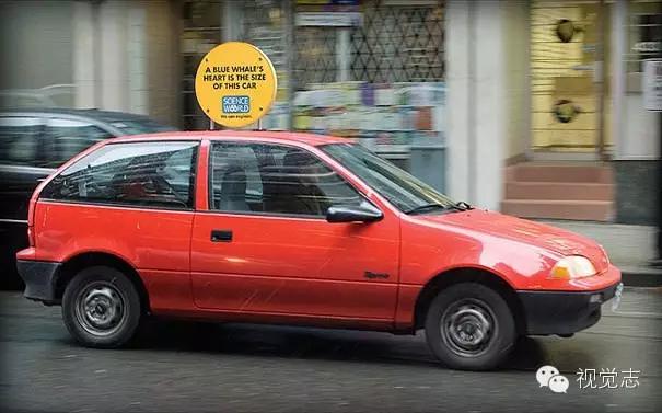 这些冷知识你都知道的吗,这些冷知识你都知道吗