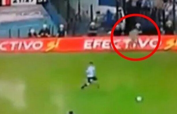 阴阳眼真的见鬼吗,阴阳眼的真相视频