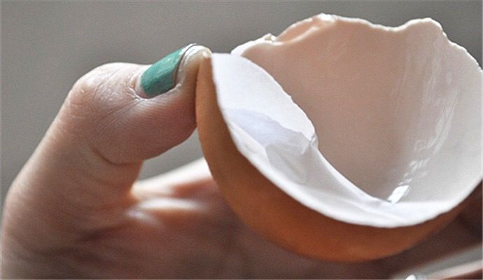 厨房里有非常微小的虫是什么,黑头克星食物