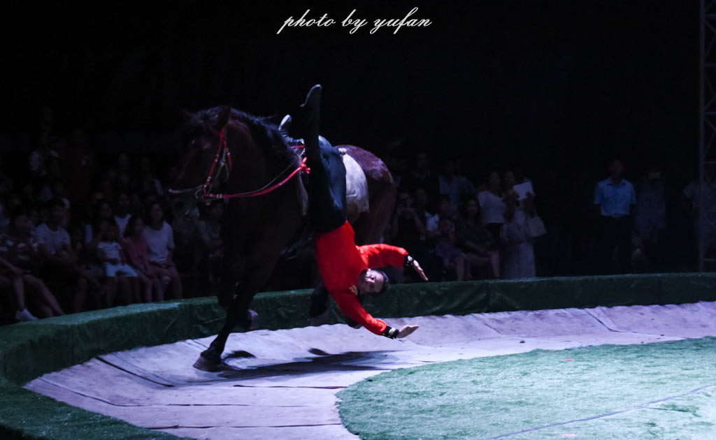 皇家大马戏巴伐利亚,广东哪里有大马戏