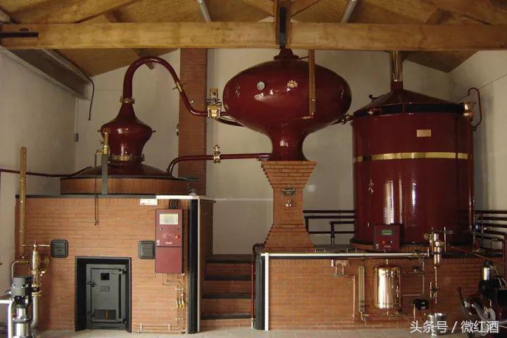 如何选干邑,干邑怎么样