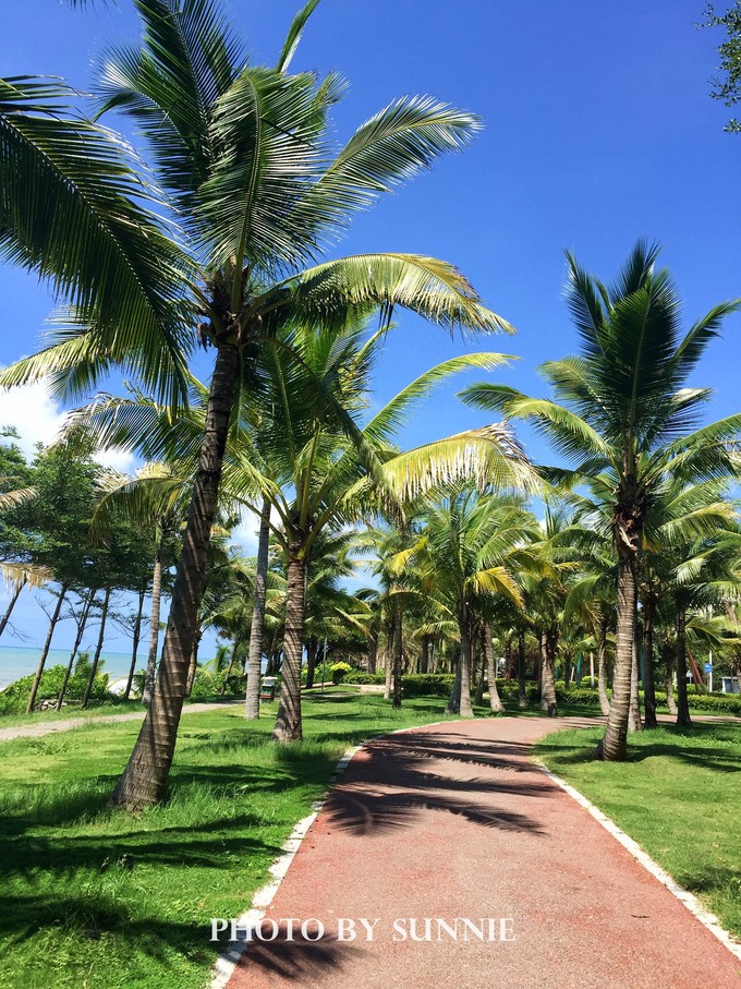 北纬十八度之三亚,北纬18度的旅行三亚游记