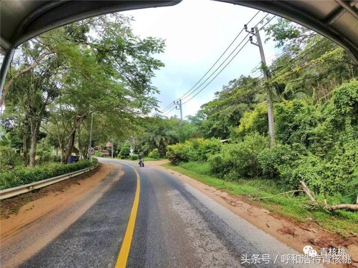 鍛煎拰娴╃壒鍒版櫘鍚夊矝,鍒锋垜婊村崱娉板浗鍘熺増