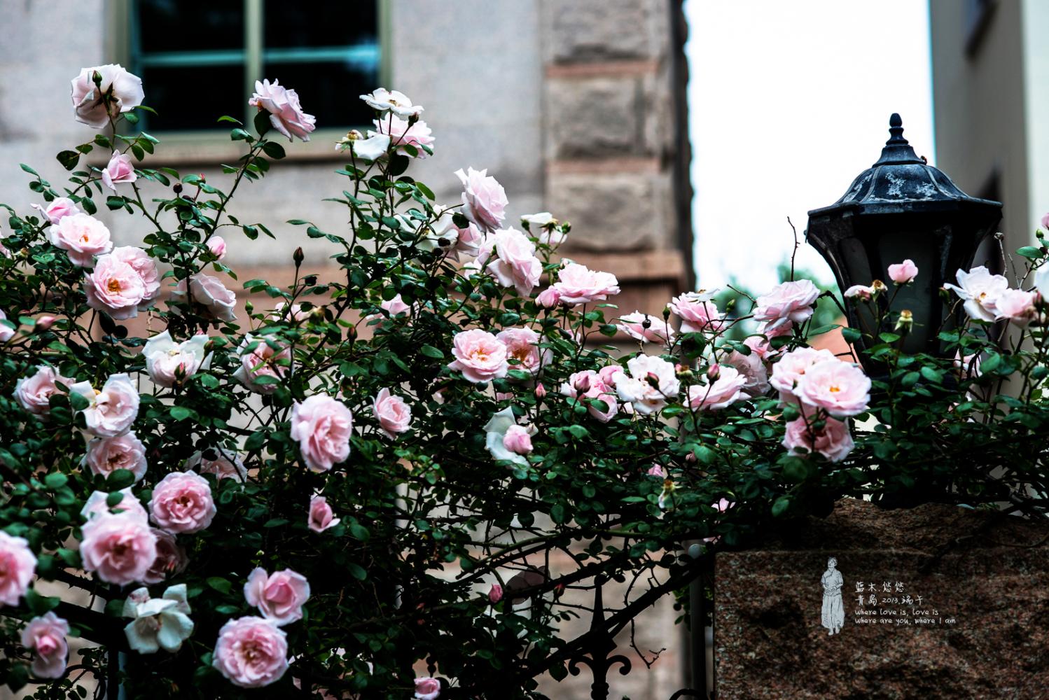 请媒人说媒成功后要给多少钱,农村媒人说媒一般要给多少钱