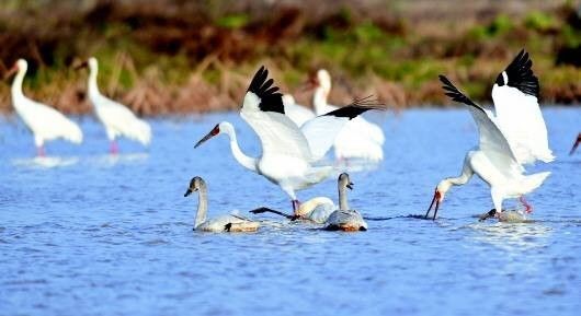 南昌公交最美沿途风景,最美公交路线南昌159