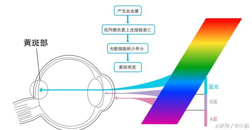 手机蓝光是什么原因引起的,手机蓝光真的假的