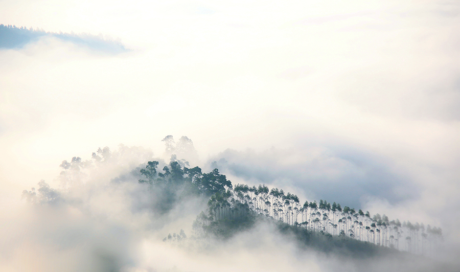 罗定看云海需要什么天气条件,云浮大云山看云海