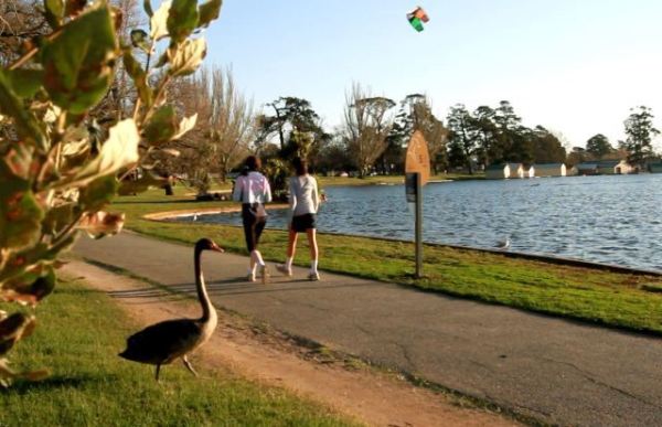 如果你来上海玩想打卡魔都,如果你要去上海我应该说什么