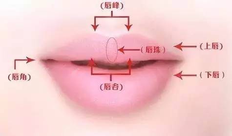 专家讲解明星微整形 (明星教你微整形)