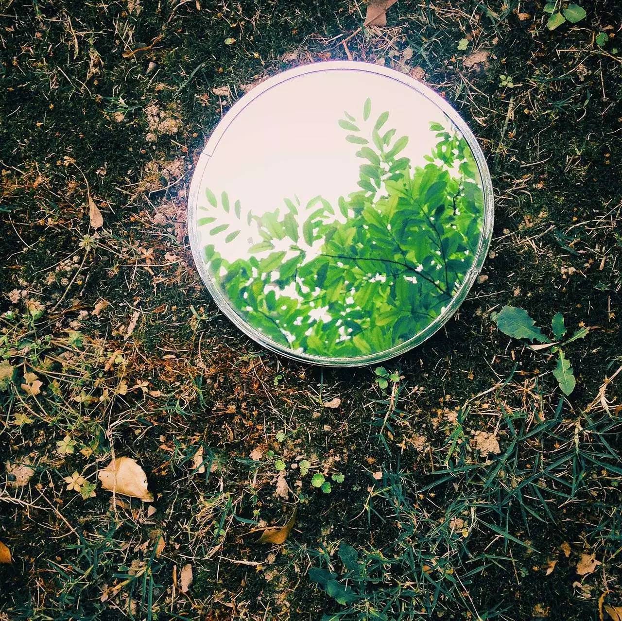 又到了动物们交配的季节，请站在宇宙中心用力呼唤爱！