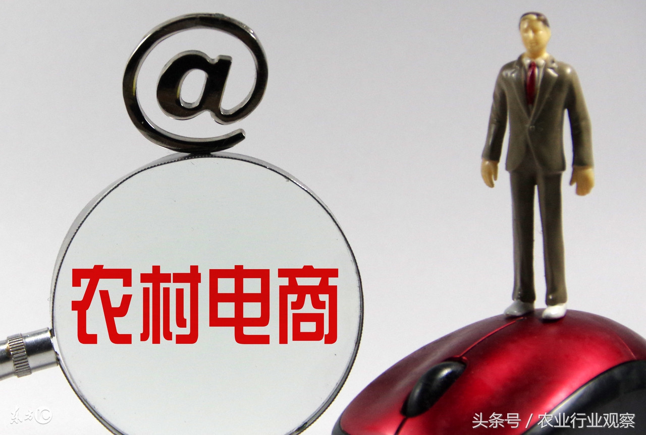 未来5年农村电商行业趋势,农村电商的当下与未来内容简介