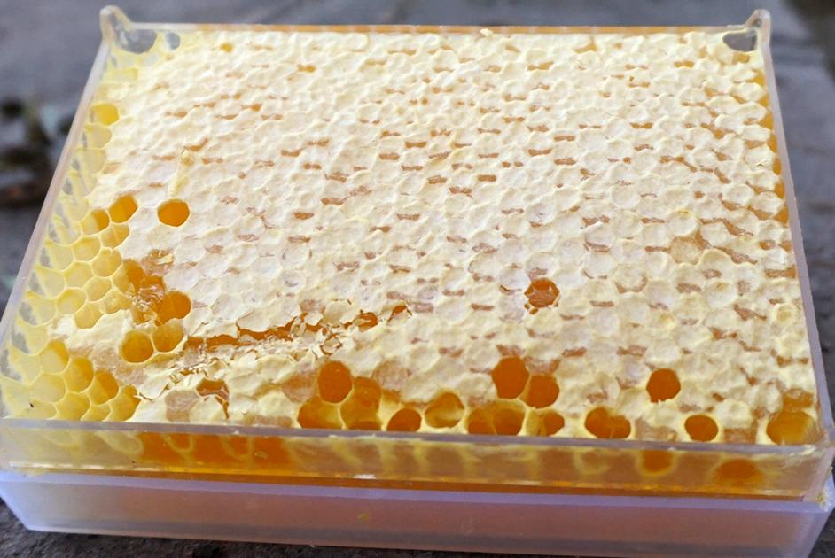 深山蜂谷悬崖土蜂蜜好吗,张家界知蜂谷养蜂