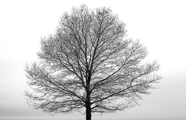 万物密码神秘图形揭示宇宙法则,科普一图读懂什么是量子