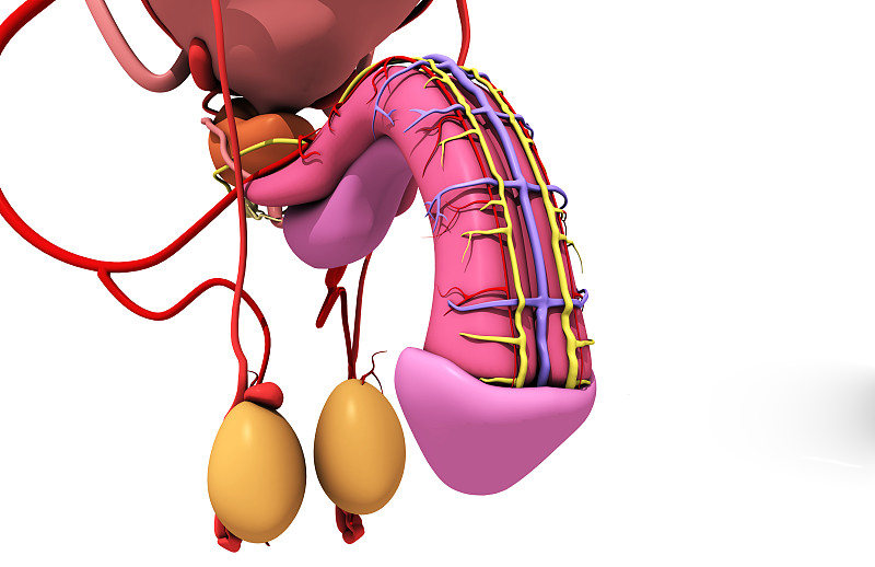 正确受孕方式是什么,辅助受孕流程