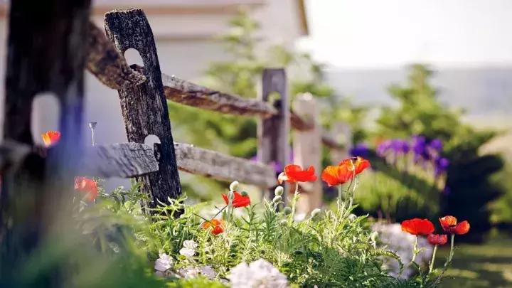 朵嘉浓能长期使用吗,朵嘉浓该继续坚持吗