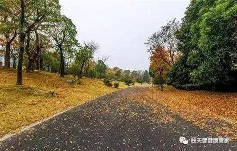 今日寒露,防秋燥,警惕抑郁,养生正当时!