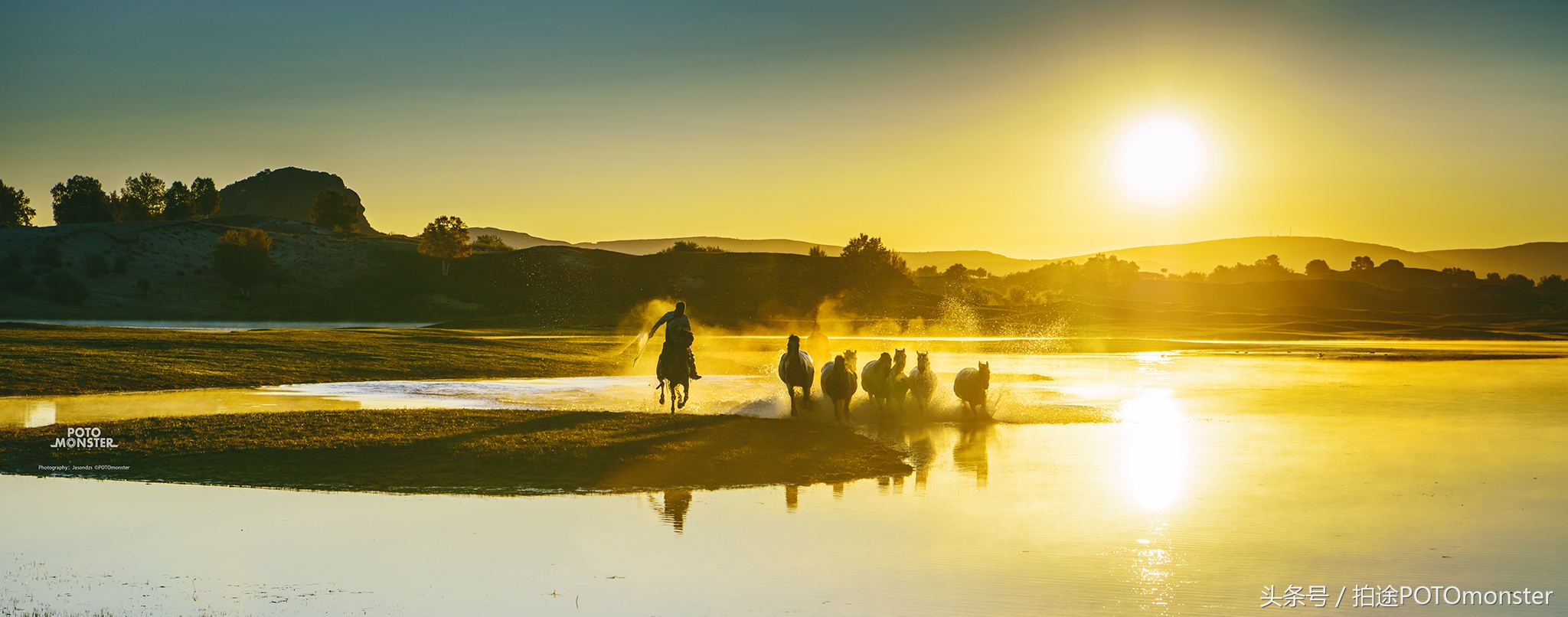 坝上草原奔马摄影作品,坝上草原拍奔马
