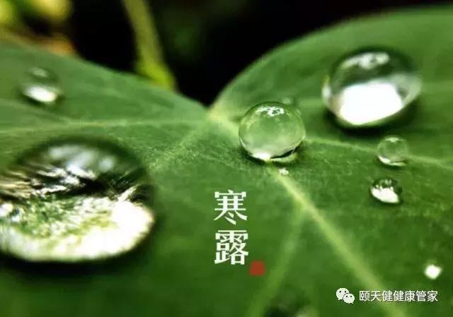 今日寒露,防秋燥,警惕抑郁,养生正当时!