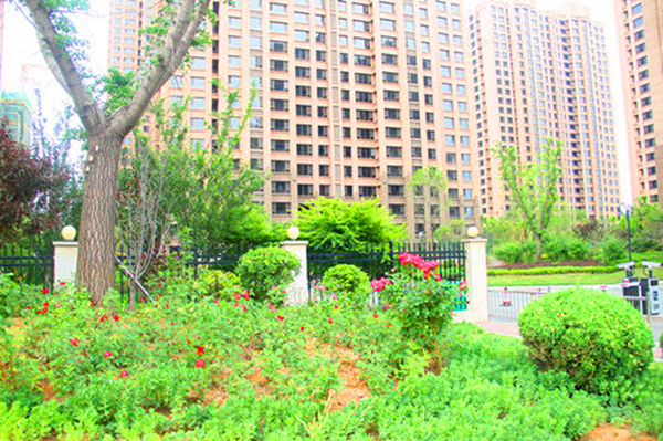 莱芜世纪城小学规划,莱芜世纪城小学新生