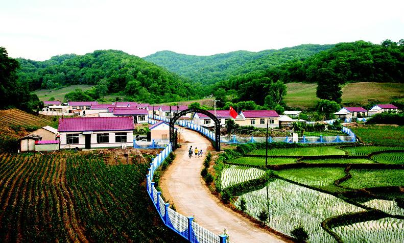 坚如磐石湖北工业,坚如磐石创业视频