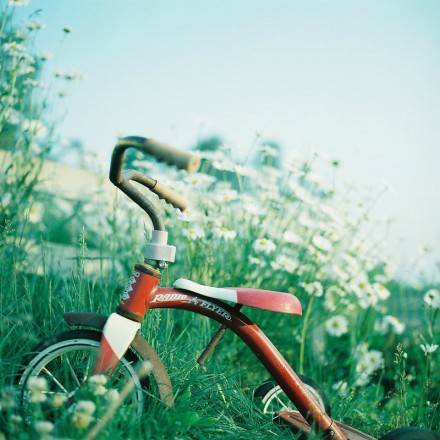 牵手一次能走到白头到老,牵手就能走到白头该多好