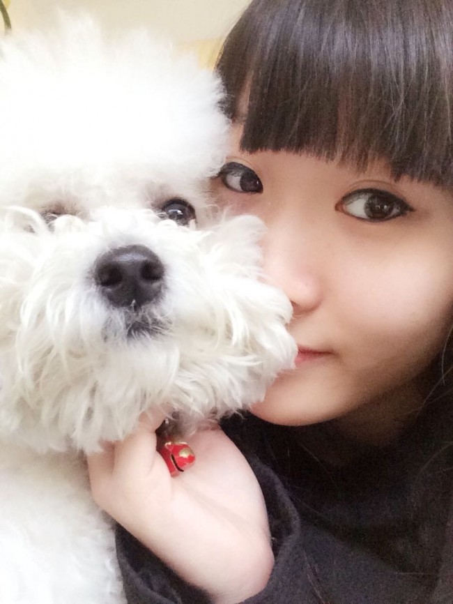 比熊犬口臭泪痕重吃什么药,比熊没有食欲铲屎官该怎么做