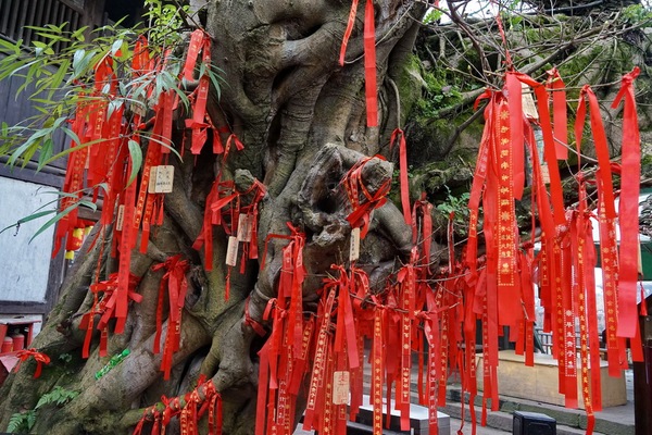 邛崃平乐古镇,四川游记之邛崃平乐古镇