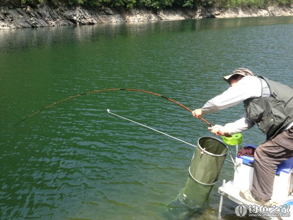 探钓野生鱼视频,探钓野生水库