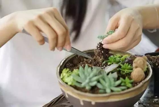 2021版魔都咖啡馆必喝榜整整50家,最美的咖啡馆推荐