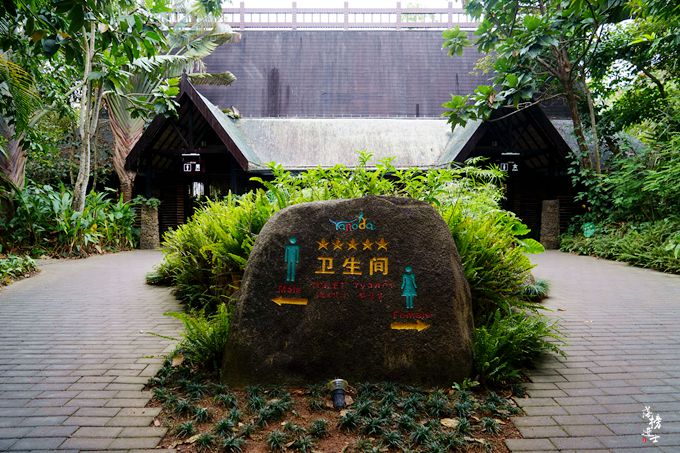 呀诺达，拾起我童年记忆的热带雨林