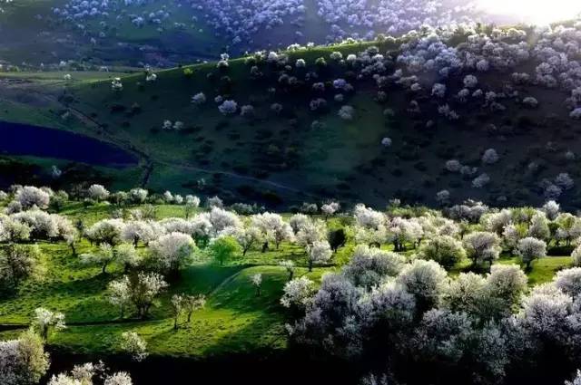 清明小长假出游提醒 (清明小长假微信消息)