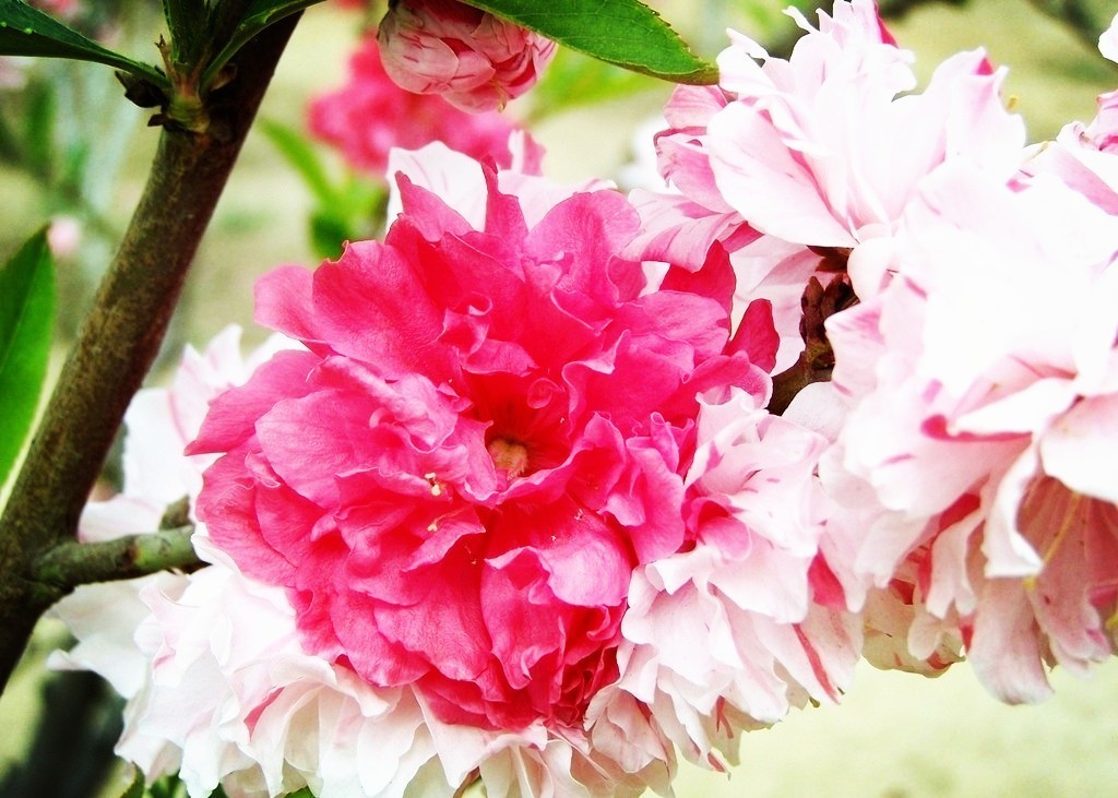 一大波的好消息袭来,一大波的好消息蜂拥而至