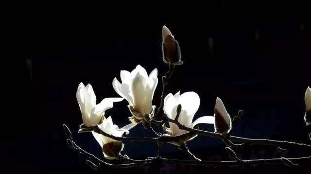 保定你竟然这么花!我真是看错你了!