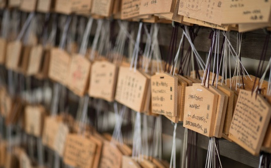 旅游景点樱花谷攻略,赏樱攻略和景点推荐