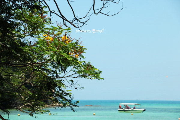 沙巴4天自由行攻略 (沙巴5天之旅)