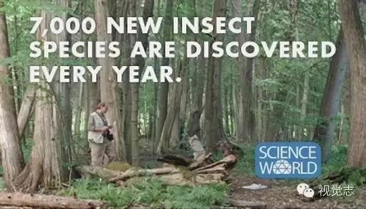 这些冷知识你都知道的吗,这些冷知识你都知道吗