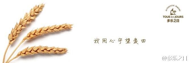 都教授代言服装,都教授北京现代广告