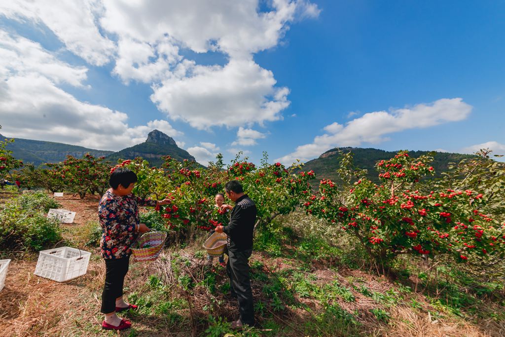 彭泉漫游谷一日游图片,彭泉漫游谷图片