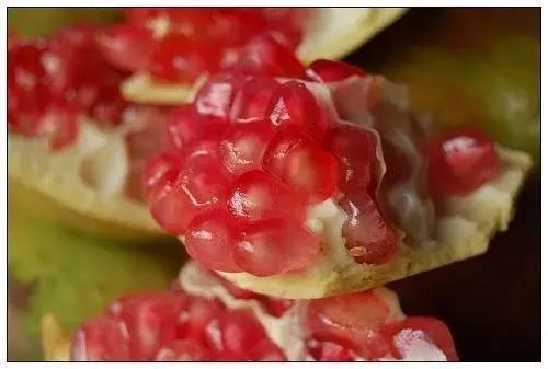 大家好，今天给大家介绍一下，这是风物君特别爱吃的——石榴