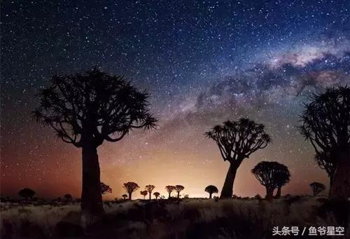 哪些梦境预示着会有血光之灾,什么梦境会预示着坏事发生