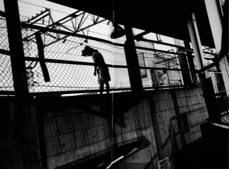 日本十大最美摄影师,日本著名光影摄影师